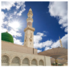 Musc Nabawi