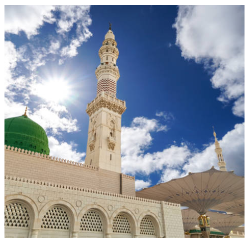 Musc Nabawi